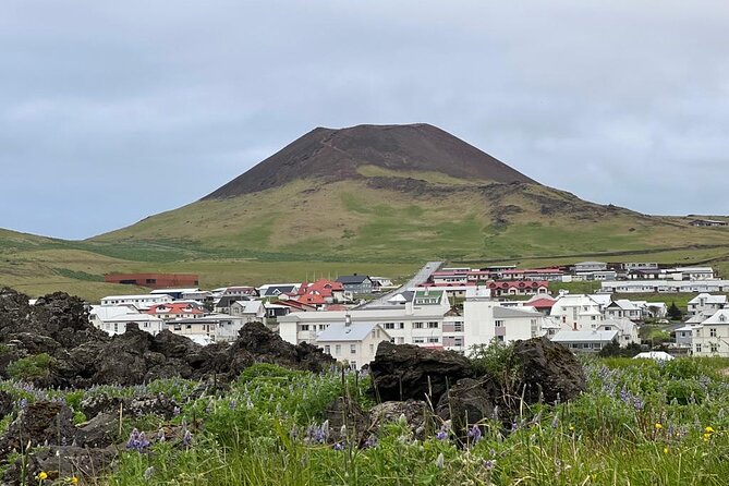 PRIVATE 2-Hours Tour - Westman Islands with a local in a BMW X5 - Museum time requires a little planning