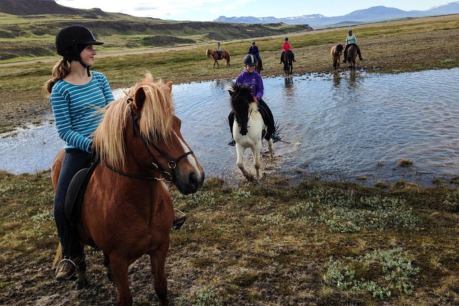 Private 3-Hour Horseback Riding Tour - Starting at Hestasport in Varmahlíð