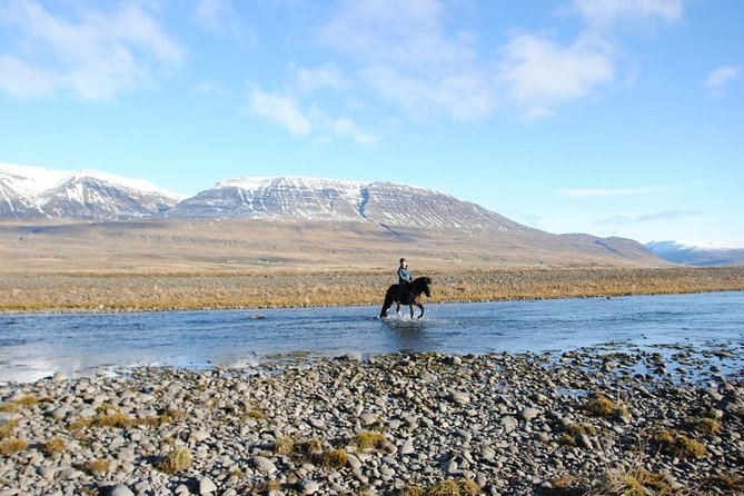 Private 3-Hour Horseback Riding Tour - The three-hour ride through rural Iceland