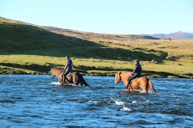 Private 3-Hour Horseback Riding Tour - A closer look at pace and riding ability