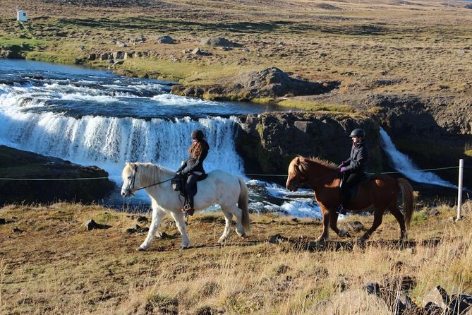 Private 3-Hour Horseback Riding Tour - Weather, gear, and comfort on the saddle