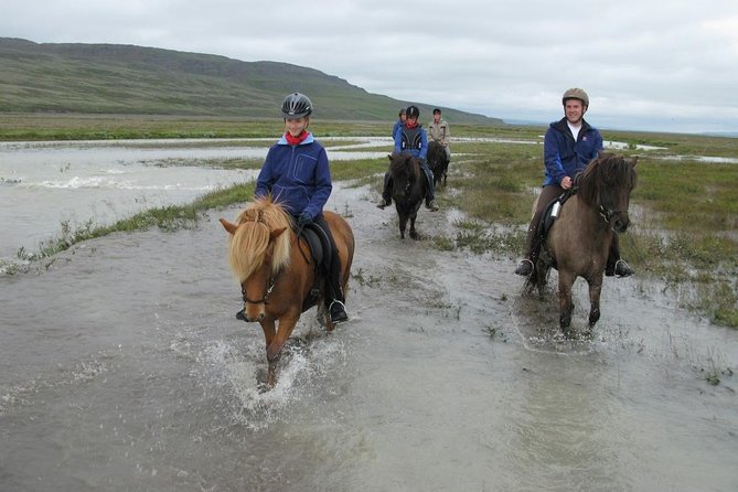 Private 3-Hour Horseback Riding Tour - Is $230.45 per person good value?