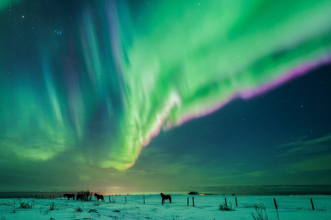 Private Aurora Hunt with Photos in Super Defender - Price and value for a group of five