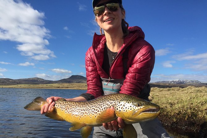 Private Fishing Tour from Reykjavik - Arctic Char and Brown Trout - Fly fishing or spin casting?