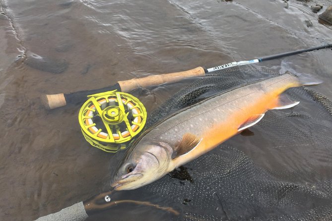 Private Fishing Tour from Reykjavik - Arctic Char and Brown Trout - Is $960 per person good value?