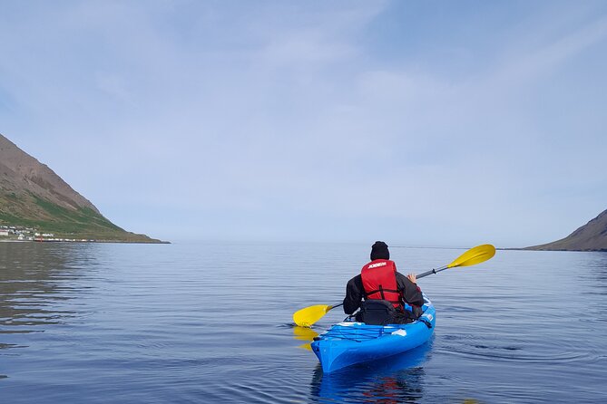 Private: Guided kayak tour in Siglufjörður / Siglufjordur. - Why Siglufjörður Works So Well From a Kayak