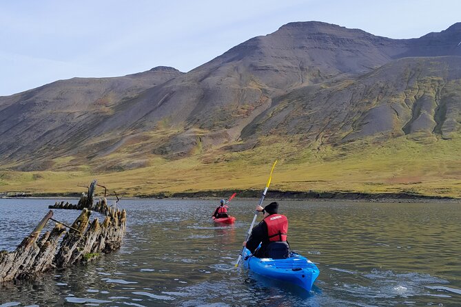 Private: Guided kayak tour in Siglufjörður / Siglufjordur. - Following the Guide Around the Fjord