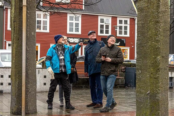 Private Icelandic Viking Age Walking Tour - Parliament House and the birth of Icelandic law
