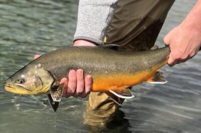 Private Lake and River Fishing Tour from Reykjavik