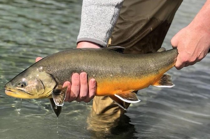 Private Lake and River Fishing Tour from Reykjavik - Learning to fish instead of simply holding a rod