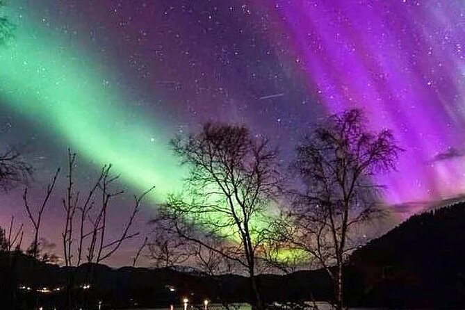 Private Northern Lights Tour From Reykjavik - A private group changes the feel of the evening