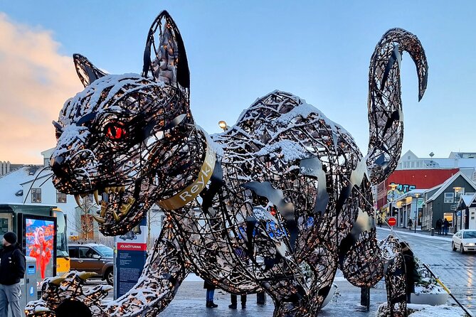 Private Reykjavik Cat Walking Tour - Forty minutes at Kattakaffihúsið