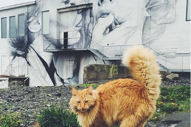 Private Reykjavik Cat Walking Tour - Hallgrímskirkja and the sculpture garden finish