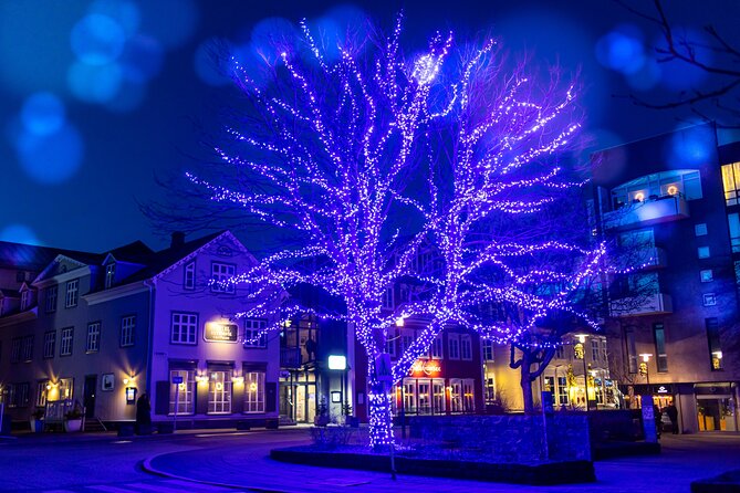 Private Reykjavik Christmas Walking Tour - Ingólfur Square, ice skating, and market stalls