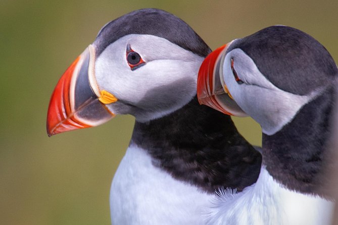 Private South Coast Tour with a Professional Photographer/Guide - What $1,490 means for your group