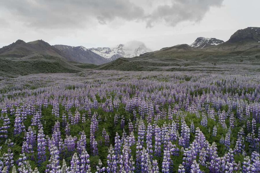 Private Tour to Landmannalaugar. Explore the Highlands - The private minibus from Reykjavík or Hveragerði