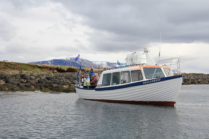Puffin Cruise with Expert Tour Guide from Reykjavik - A quick boat ride to Akurey Island
