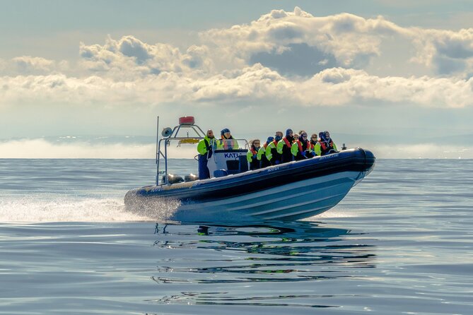 Puffin Watching Speedboat Express - A fast route from Reykjavík’s Old Harbour