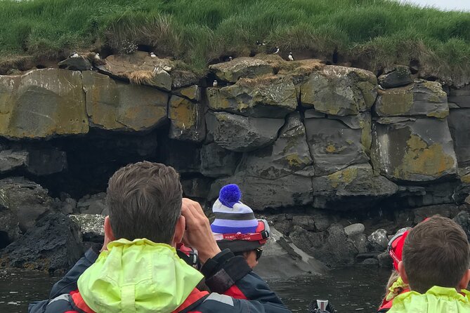 Puffin Watching Speedboat Express - Timing, weather, and simple planning tips