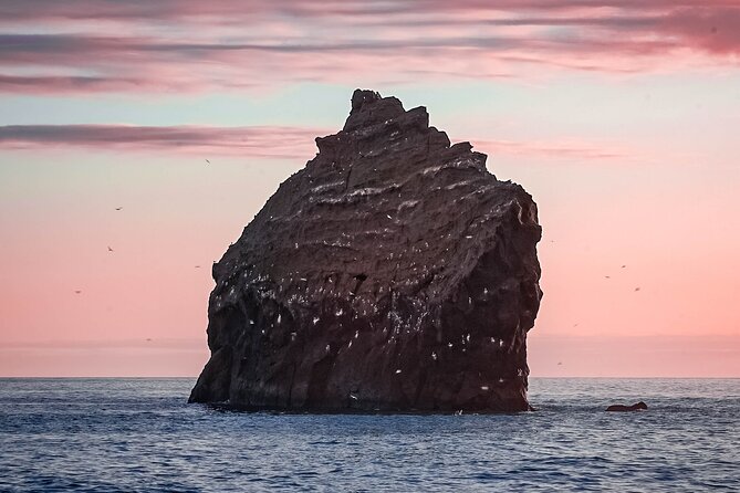 Reykjanes Peninsula Private tour Iceland - Reykjanes Lighthouse and the North Atlantic