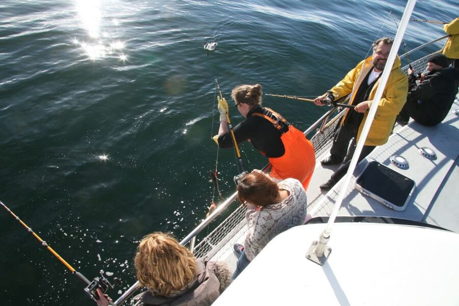 Reykjavik: 3-Hour Sea Angling Gourmet Experience Tour - Is the $176 price fair?