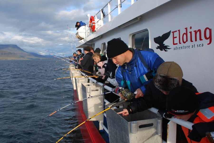 Reykjavik: 3-Hour Sea Angling Gourmet Experience Tour - Who will enjoy this fishing trip most?