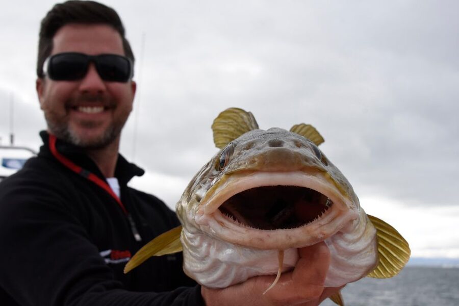 Reykjavik: 3-Hour Sea Angling Gourmet Experience Tour - Practical details that make the day easier