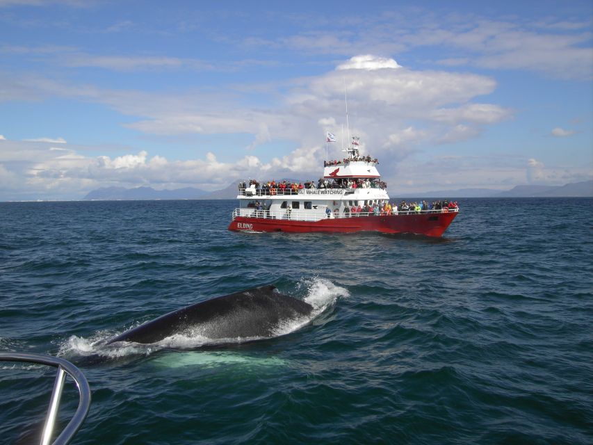 Reykjavik: ATV Ride & Whale Watching Boat Tour - The ATV ride to Reykjavik Peak