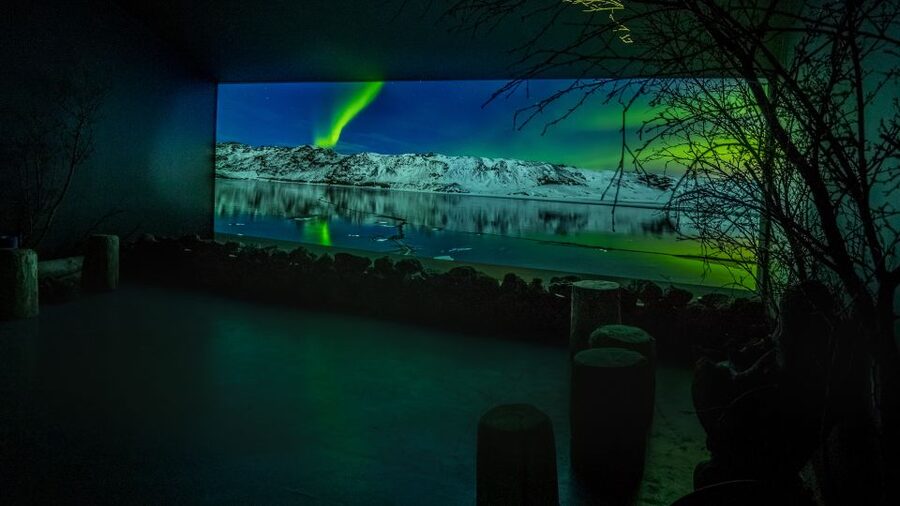 Reykjavik: Aurora Reykjavik The Northern Lights Center Entry - The 360° VR Aurora experience