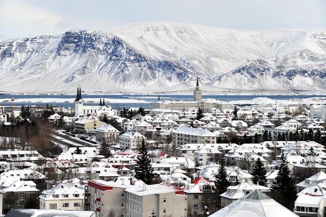 Reykjavik City Walking Tour - Tjörnin pond and City Hall