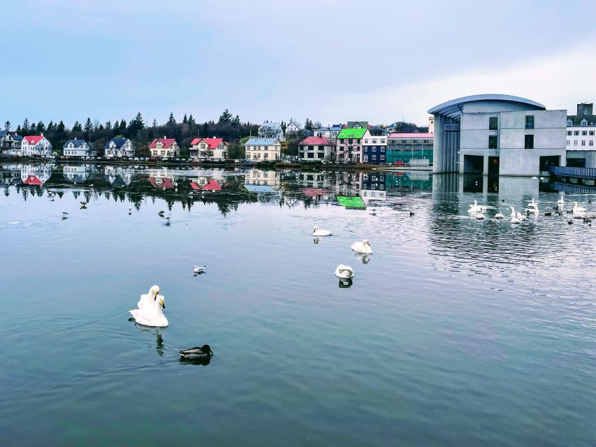 Reykjavik: City Walking tour in Small Group with Local Guide - Group size, pace, and accessibility