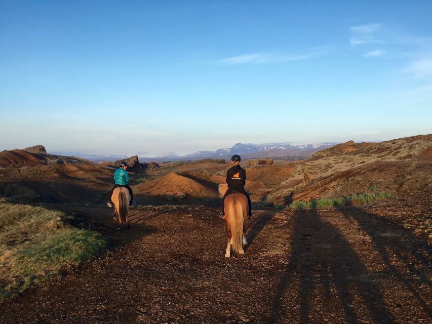 Reykjavik: Evening Sleipnir Horse Riding Tour with Pickup - Key points at a glance