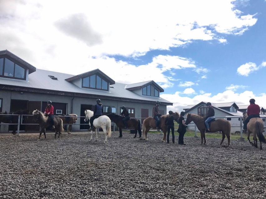 Reykjavik: Evening Sleipnir Horse Riding Tour with Pickup - Who will enjoy this ride most?