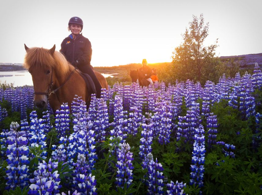 Reykjavik: Evening Sleipnir Horse Riding Tour with Pickup - Getting comfortable with an Icelandic horse