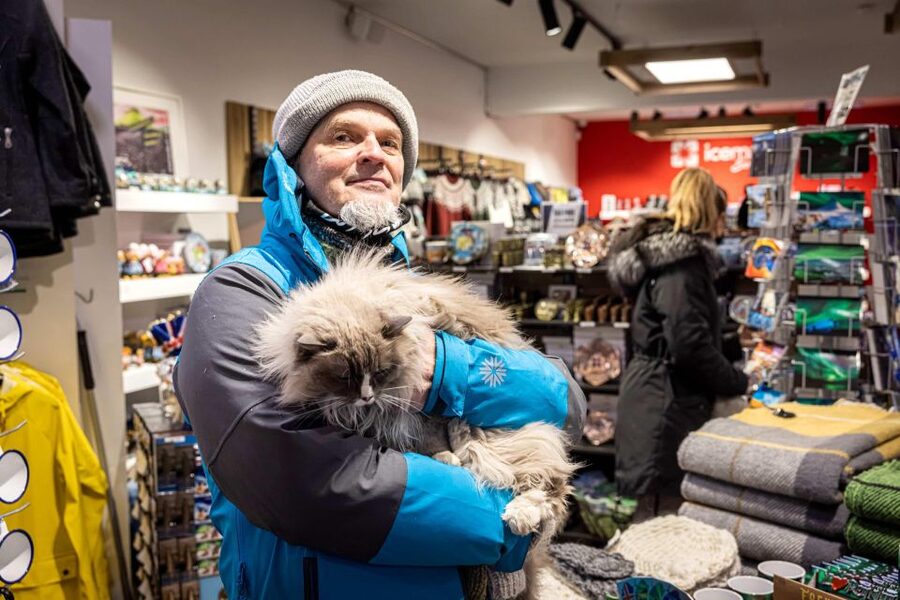 Reykjavik: Feline-Focused City Walking Tour - Key points about Reykjavík’s cat walk