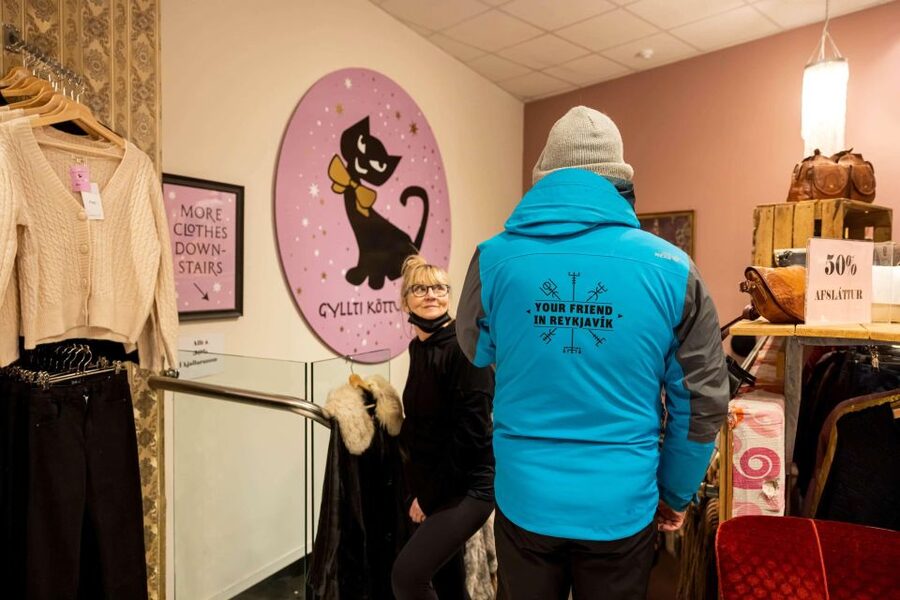 Reykjavik: Feline-Focused City Walking Tour - What $74 means in practical value