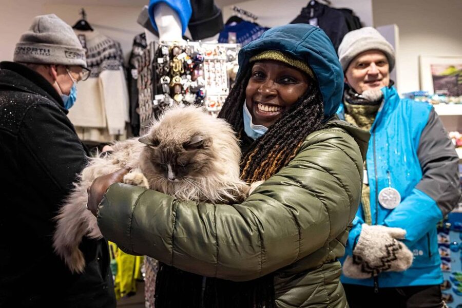 Reykjavik: Feline-Focused City Walking Tour - Ingólfstorg and Gyllti kötturinn