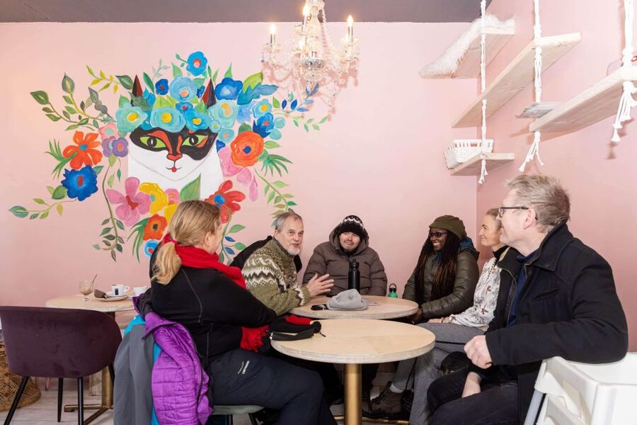 Reykjavik: Feline-Focused City Walking Tour - Lake Tjörnin and a slower look at Reykjavík