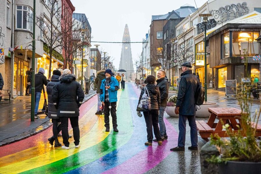 Reykjavik: Feline-Focused City Walking Tour - Hallgrímskirkja and the Einar Jónsson Museum