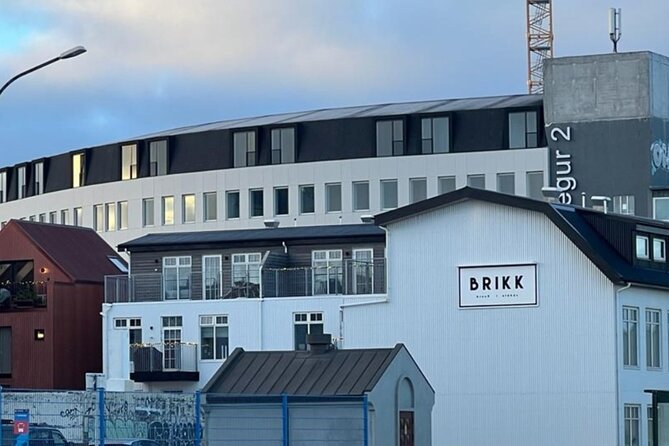 Reykjavik Food Tour - Old Harbor Walking Tour - Why the Old Harbor makes such a good food tour setting