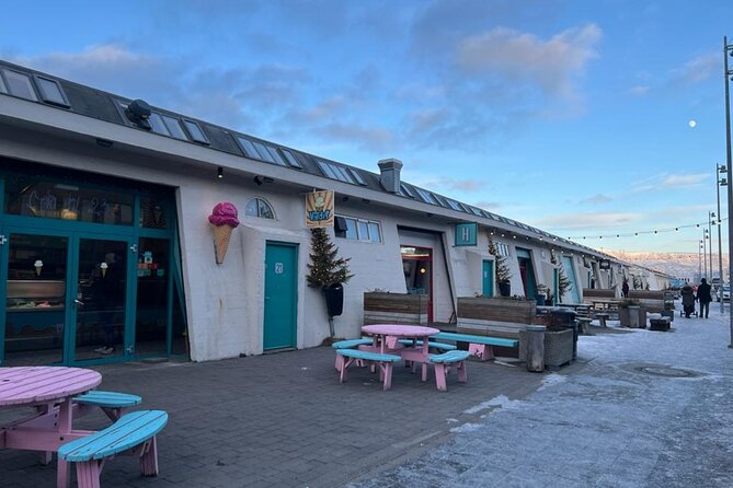 Reykjavik Food Tour - Old Harbor Walking Tour - Who will get the most from this walk