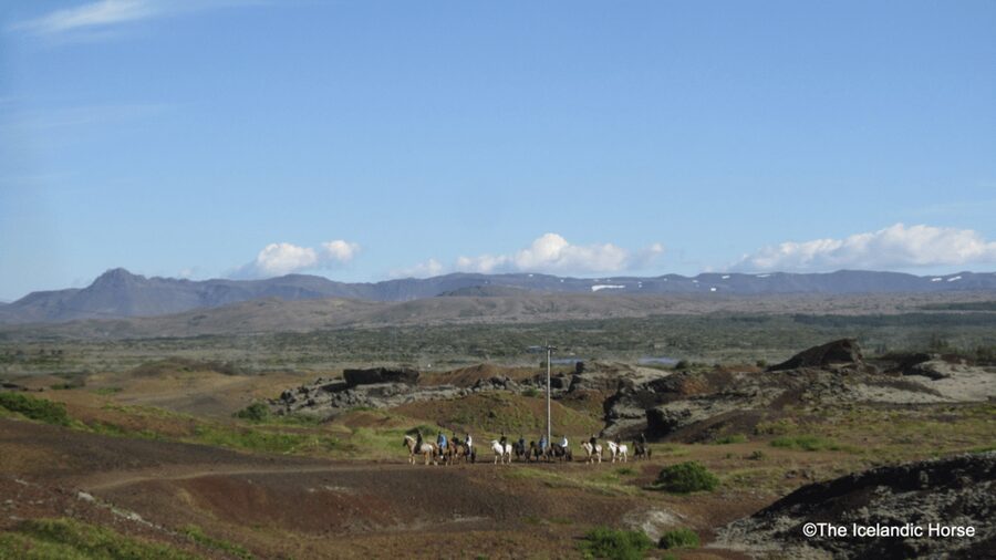 Reykjavík: Horse Riding Tours - How the small group changes the experience