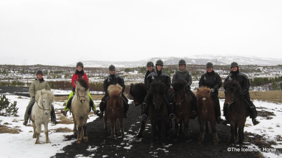 Reykjavík: Horse Riding Tours - Value at $200 per person