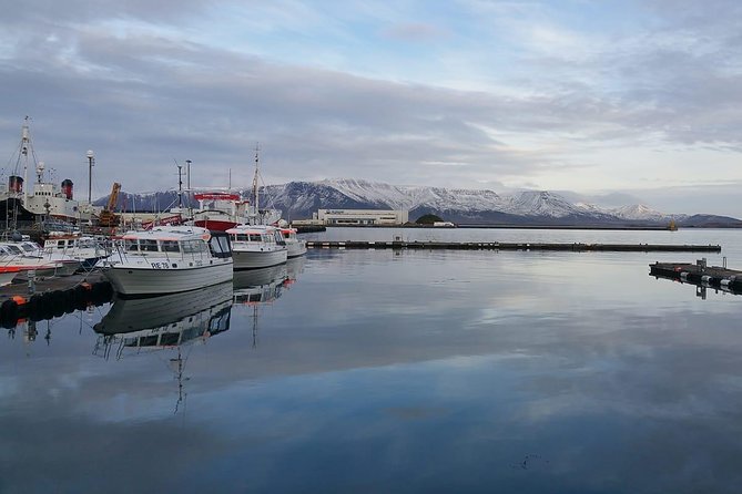 Reykjavik Main Sights and Hidden Spots: A Self-Guided Audio Walk - Harpa Concert Hall and Reykjavík’s modern face