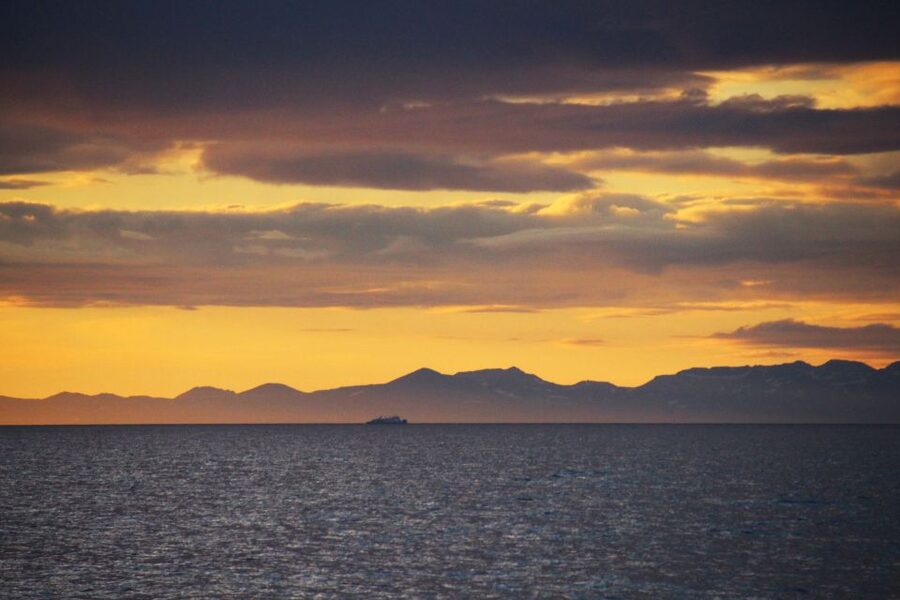 Reykjavík: Midnight Sun Whale Watching Cruise - Should you book the midnight-sun whale cruise?