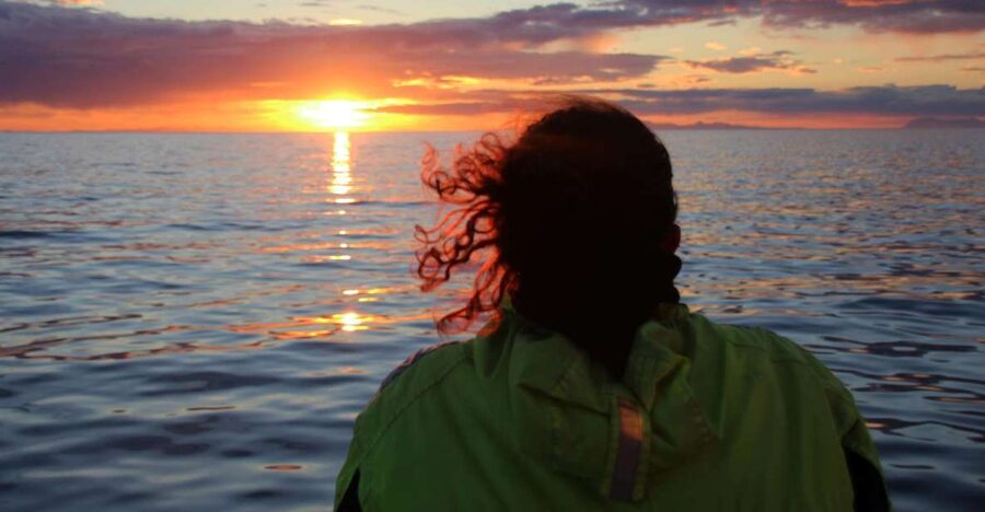 Reykjavík: Midnight Sun Whale Watching Cruise - Leaving Reykjavík at 9 PM for the midnight sun