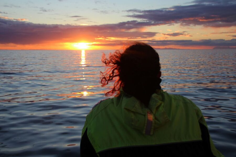 Reykjavík: Midnight Sun Whale Watching Cruise - Weather, cancellations, and the free retry