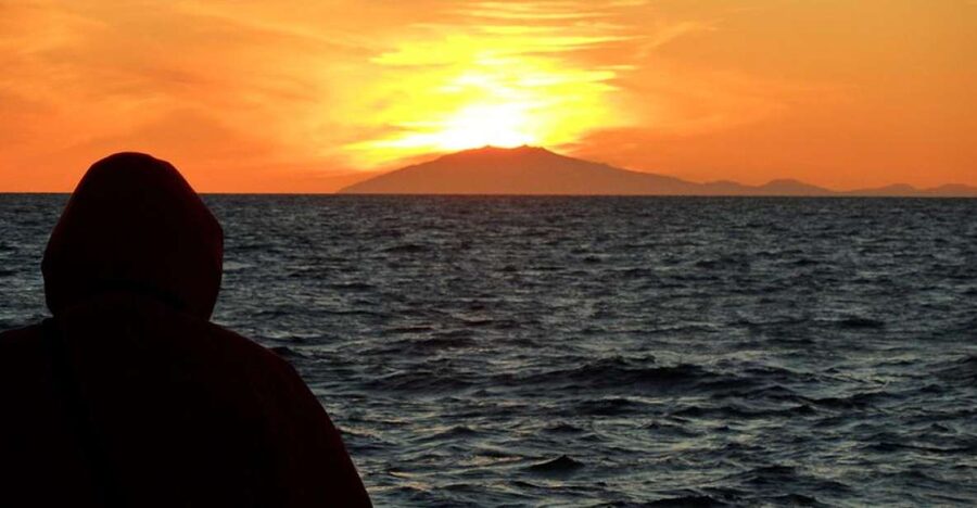 Reykjavik: Midnight Sun Whale Watching Tour - The search for whales, dolphins and porpoises