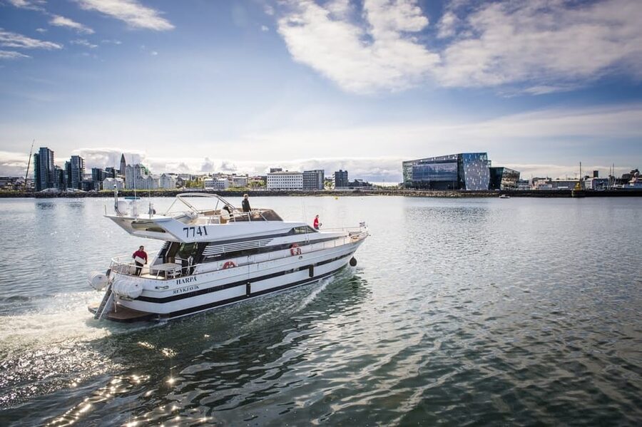 Reykjavík: New Year's Eve Northern Lights Yacht Cruise - Key points to know before booking