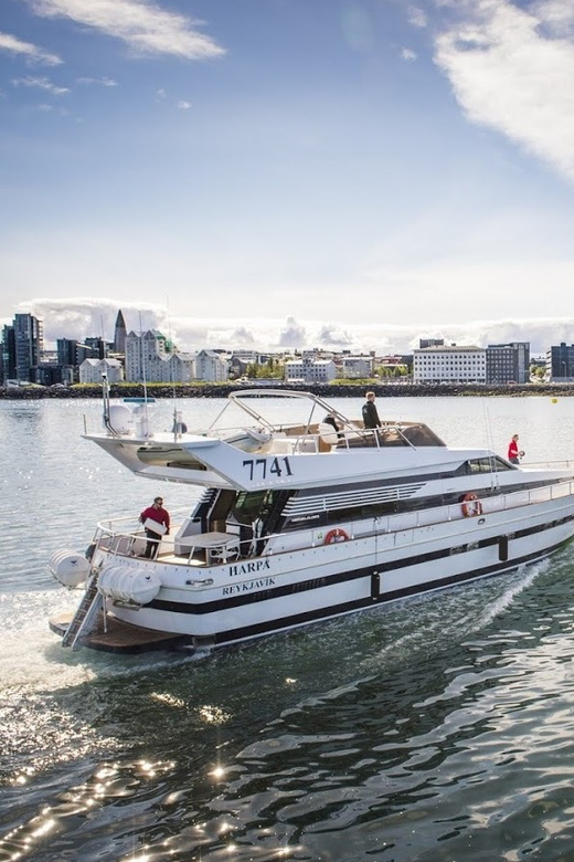 Reykjavík: New Year's Eve Northern Lights Yacht Cruise - Who should book this cruise?
